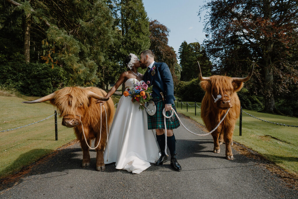 Scottish Castle Wedding- highland cows